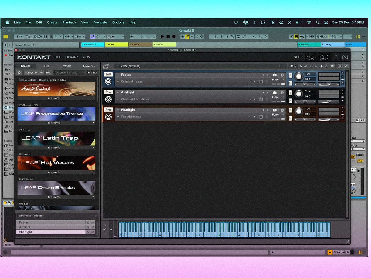 Native Instrument Kontakt
